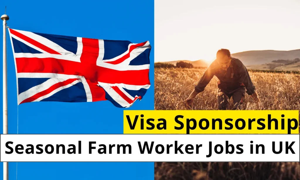 How to Get a Job Offer from an Approved Sponsor in the UK Agricultural Sector: A Step-by-Step Guide